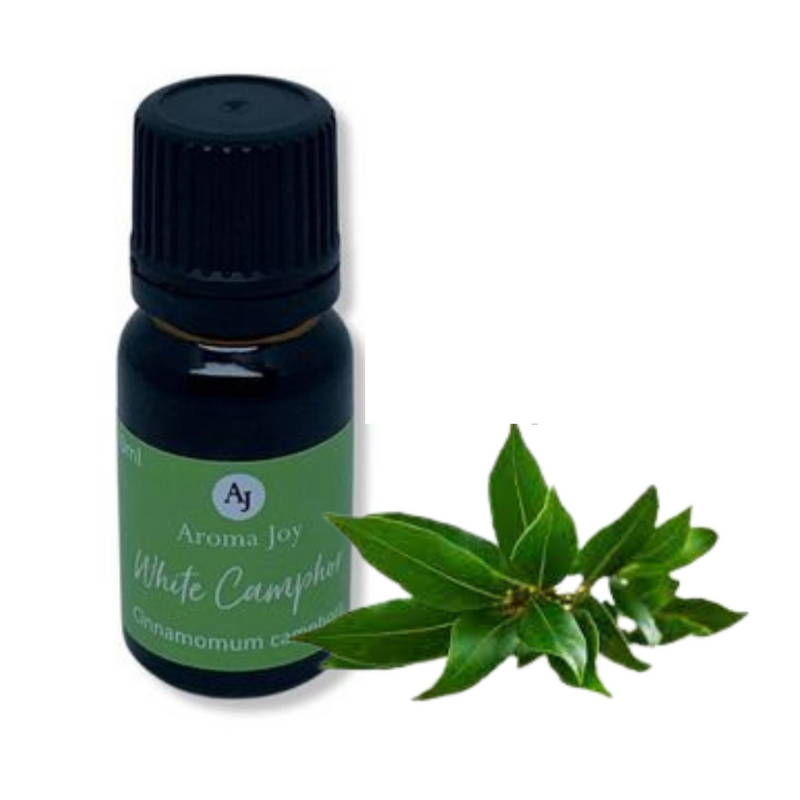 CAMPHOR (WHITE) 10ML