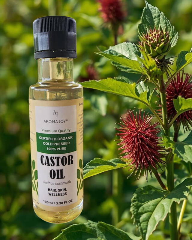 CASTOR OIL CERTIFIED ORGANIC 100ML